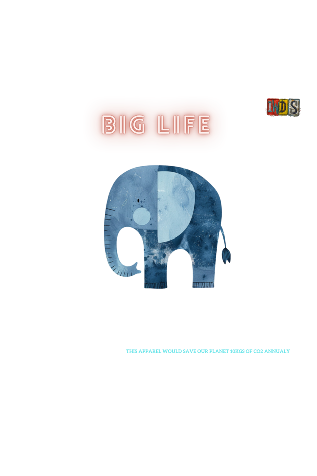 The BIG LIFE : Premium Minimalist Unisex cotton T-shirt - Art for your wardrobe