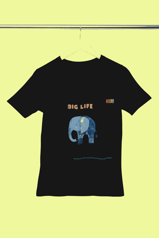 The BIG LIFE : Premium Minimalist Unisex cotton T-shirt - Art for your wardrobe